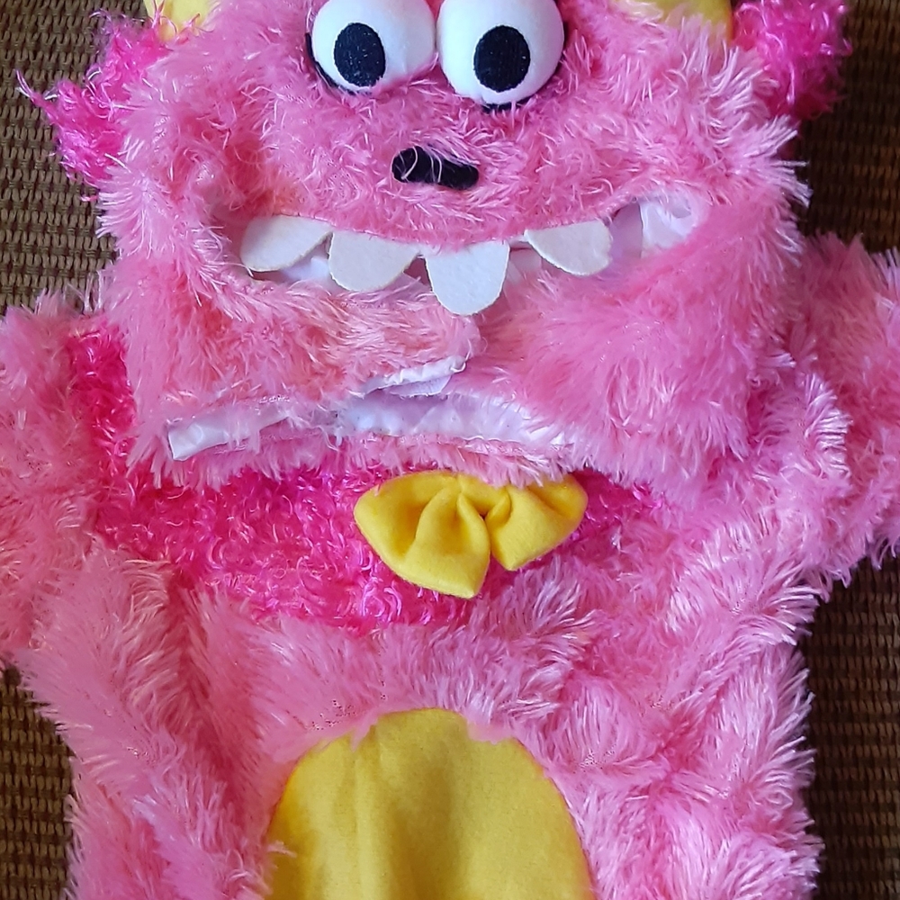 Sesame Street Monster Costume/6-12 Months